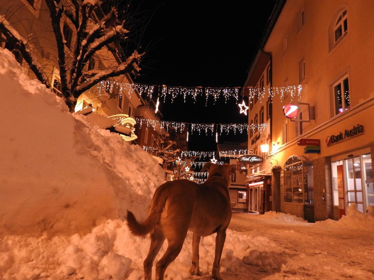 Pension Alpenrose Zell am See Exterior photo